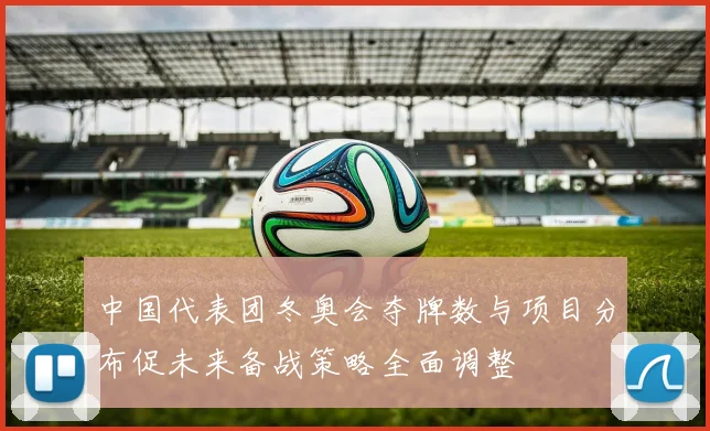 中国代表团冬奥会夺牌数与项目分布促未来备战策略全面调整