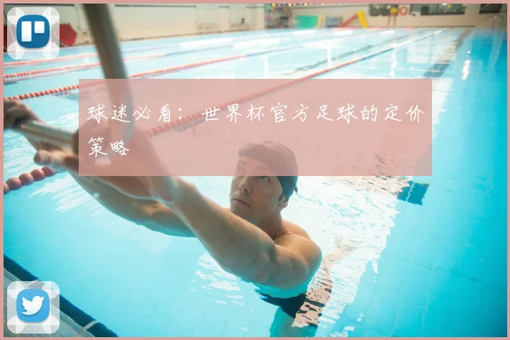 球迷必看:世界杯官方足球的定价策略