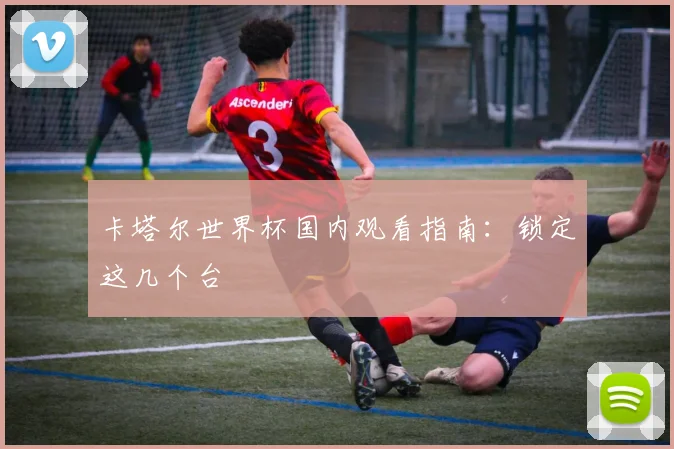 卡塔尔世界杯国内观看指南：锁定这几个台