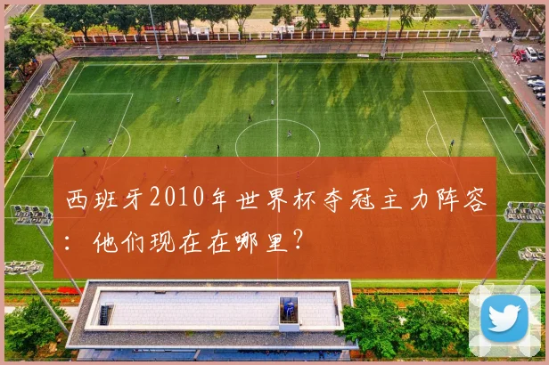 西班牙2010年世界杯夺冠主力阵容:他们现在在哪里?