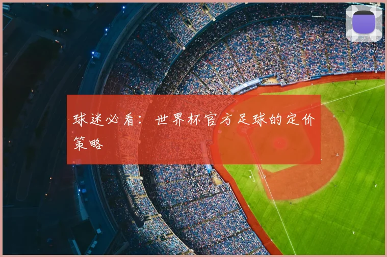 球迷必看：世界杯官方足球的定价策略