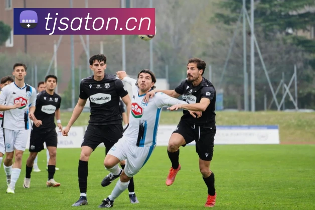 pg娱乐电子游戏入口APP 封面图